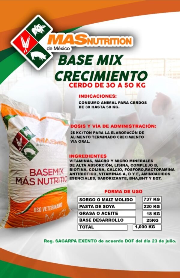 Base Crecimiento